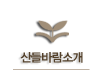 산들바람소개
